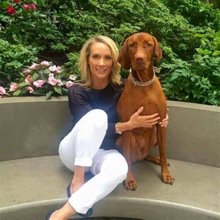 10 best images about Dana Perino on Pinterest Studios, Masons and