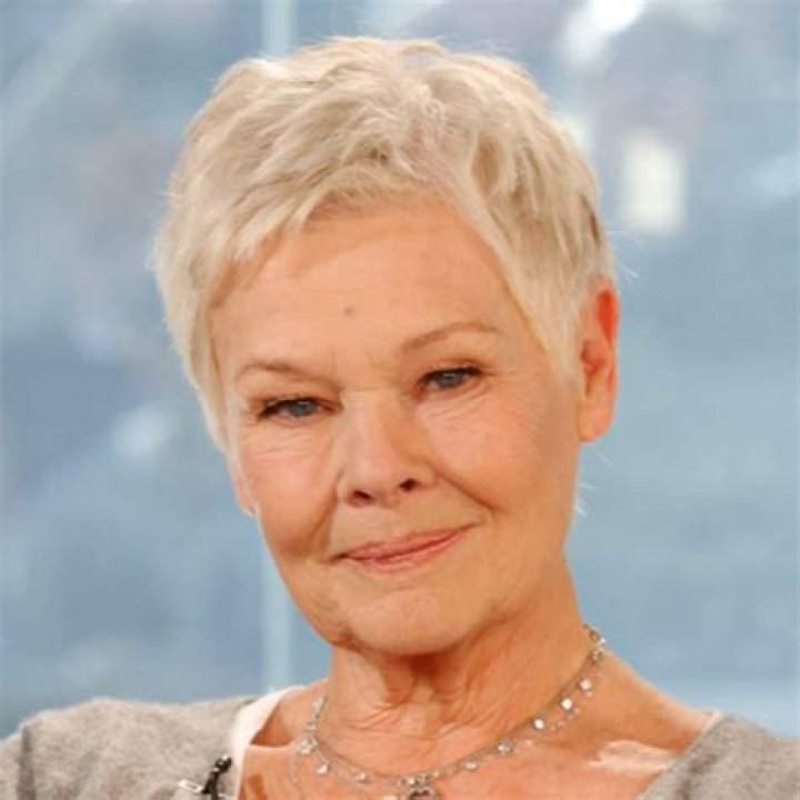 15 Doubts About Judi Dench Hairstyle You Should Clarify judi dench