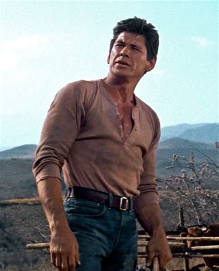 352 best images about Charles bronson on Pinterest Charles bronson