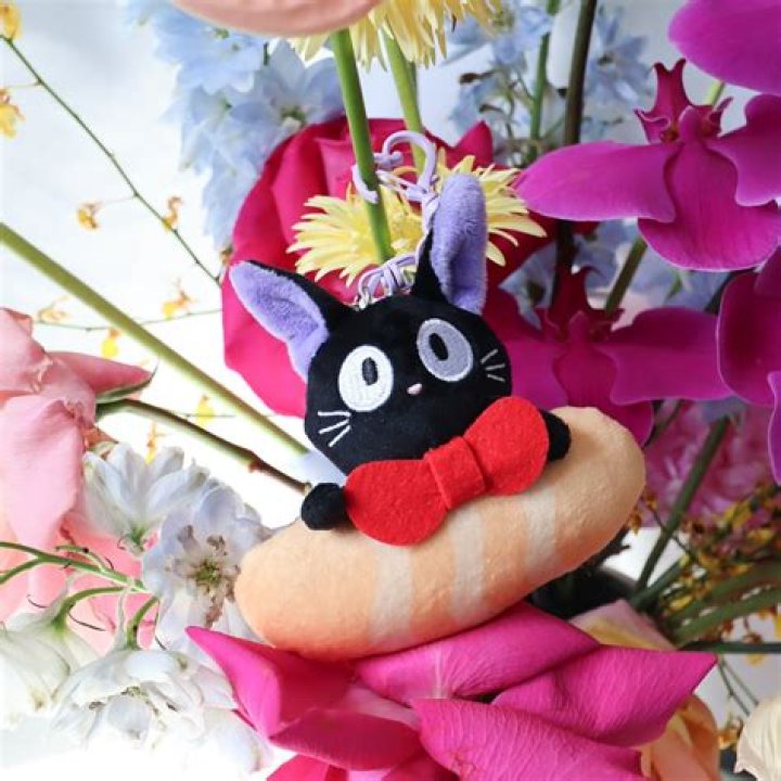 A dreamie kitty twitch lokasinmiles