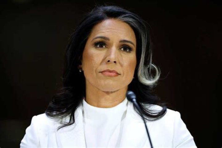 All about Eduardo Tamayo, Tulsi Gabbard's Hawaiian exhusband Tuko.co.ke