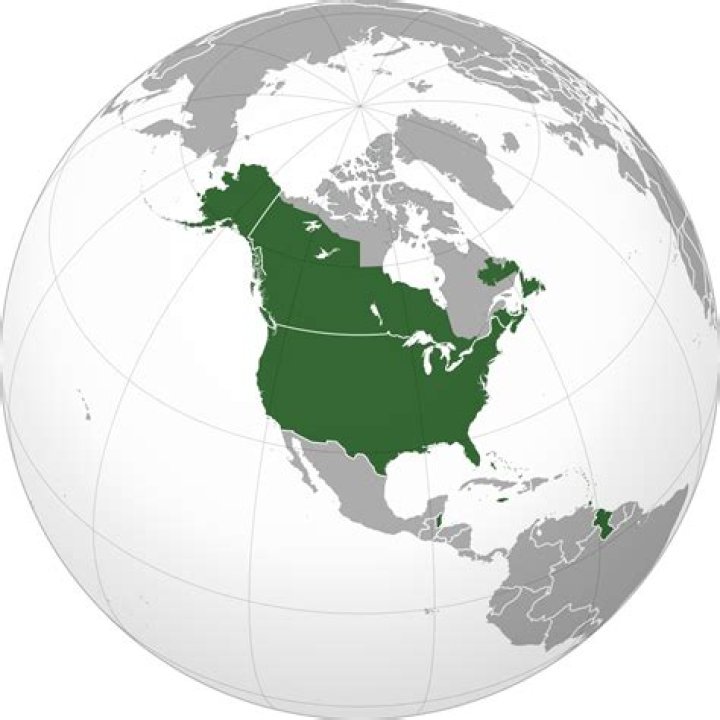 Allison Dean Wikipedia, to America Actress Worth