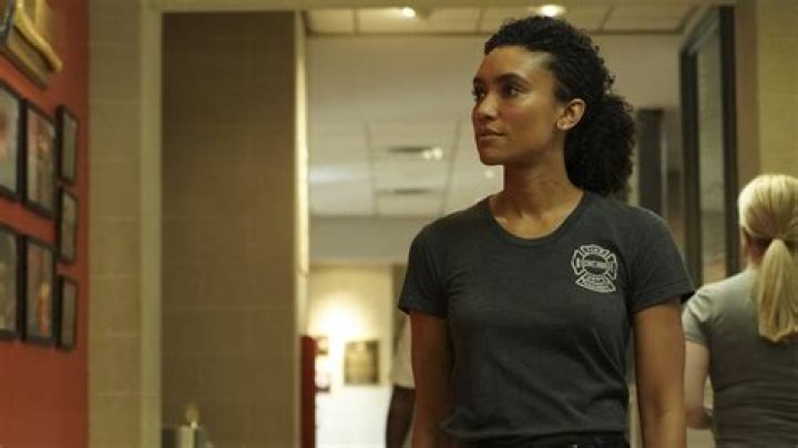 Annie Ilonzeh 5 Facts About Shaquille O'Neal's New Girlfriend