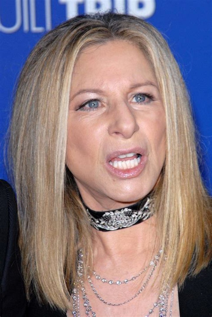 Barbra Streisand's Net Worth Revealed TrendRadars