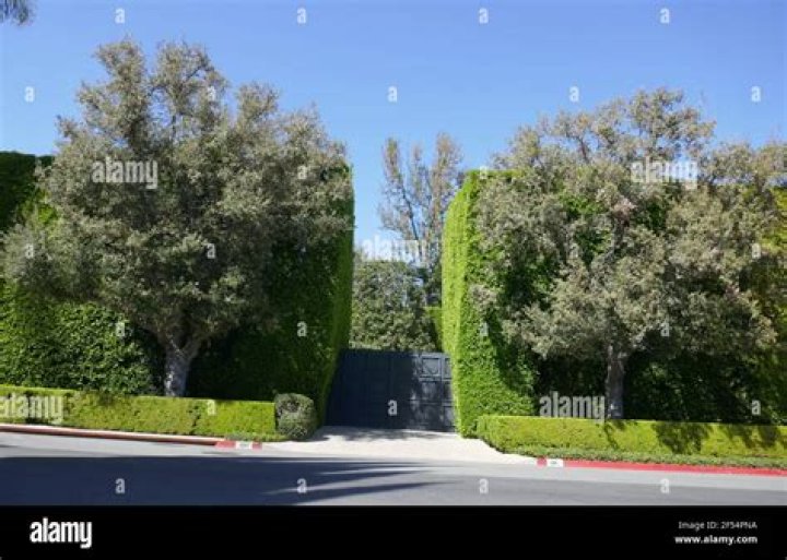 Beverly Hills, California, USA 23rd March 1996 Actress Joan Van Ark and