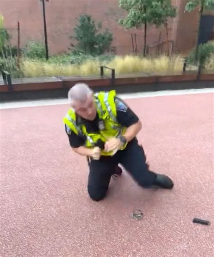 Boston cop violently launched off massive park slide in viral video