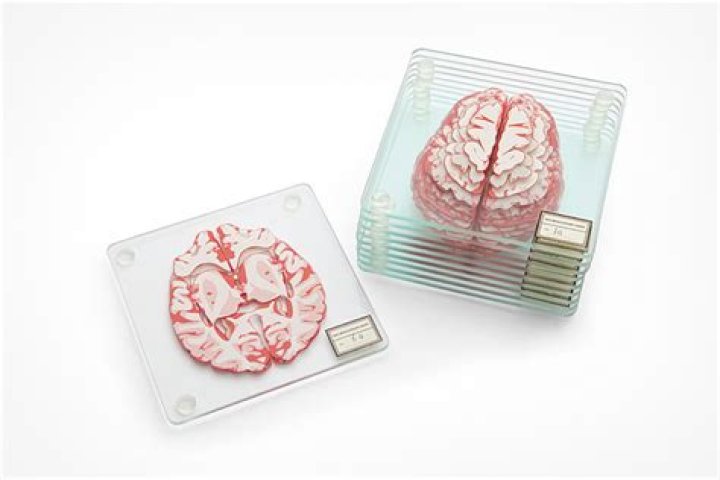 Brain Coasters