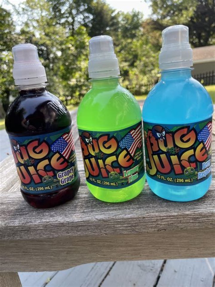Bug Juice Where Are They Now
