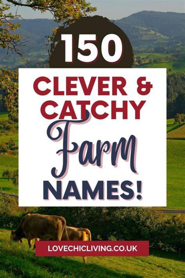 Cute Farm Names for your Farm in Stardew Valley Stardew Guide