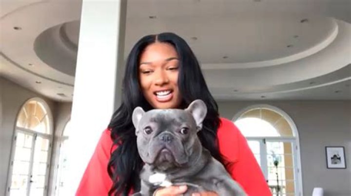 Does Megan Thee Stallion Have Kids? The Rapper Has Five "Sons" The
