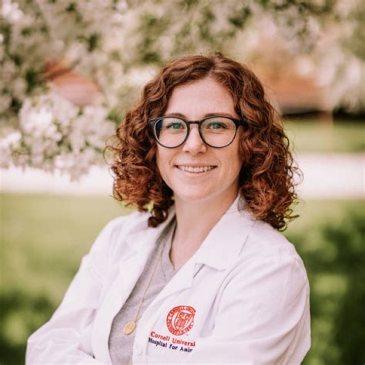 Dr. Lauren Thielen vet Wikibio, Age, husband, married life. Also, Net
