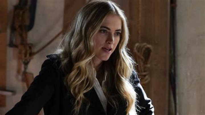 Emily Wickersham Emily Wickersham Ncis Emily Hairstyle Porn