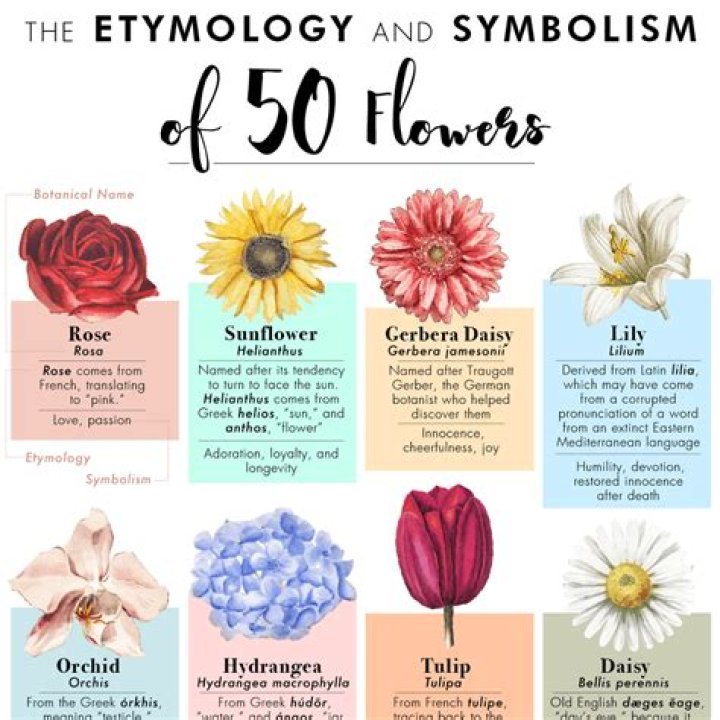 Etymology and Symbolism of 50 Flowers
