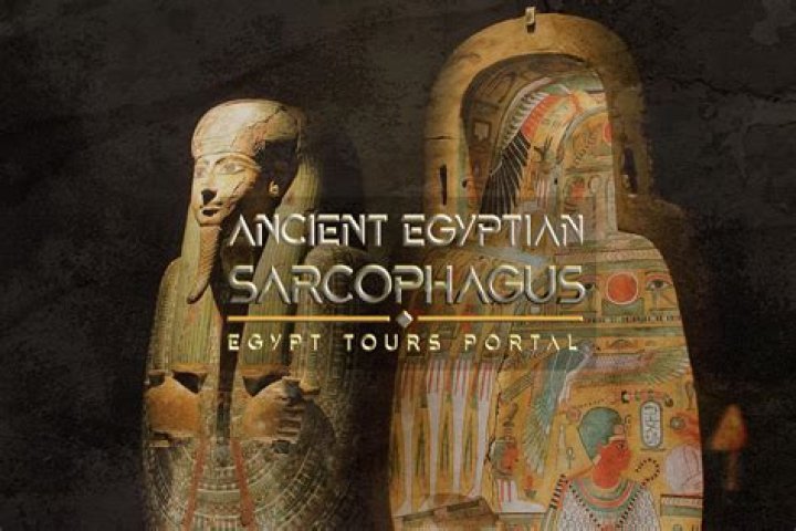 Hello, Hi Egyptian Bak أنا مستنياك من الصبح يا أستاذ شبار&rlm;ة نجوي