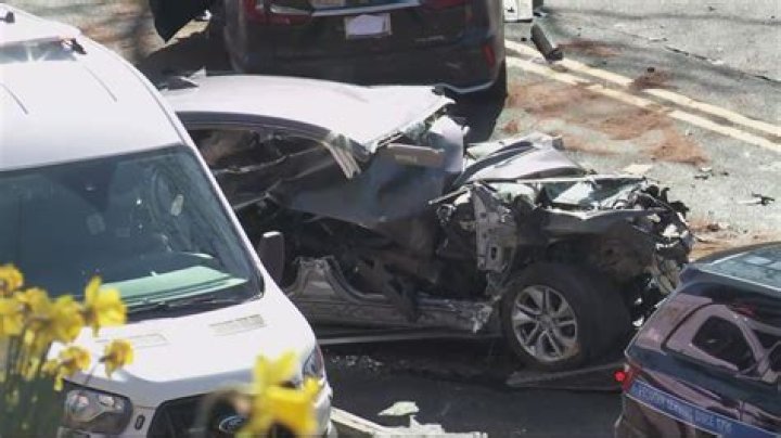 Horrible Accident Sandra Boynton Obituary News; What happened to