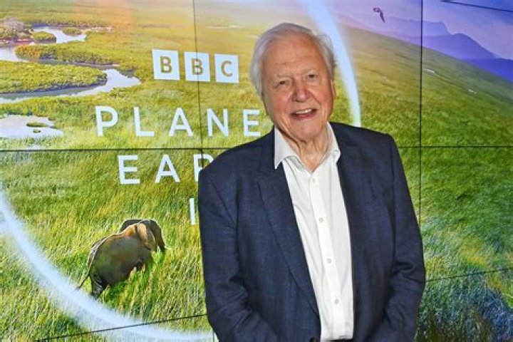 How old is Sir David Jason and what is his net worth?