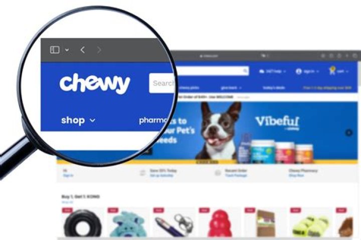 How to navigate Chewy Website by B&D Product & Food Review YouTube