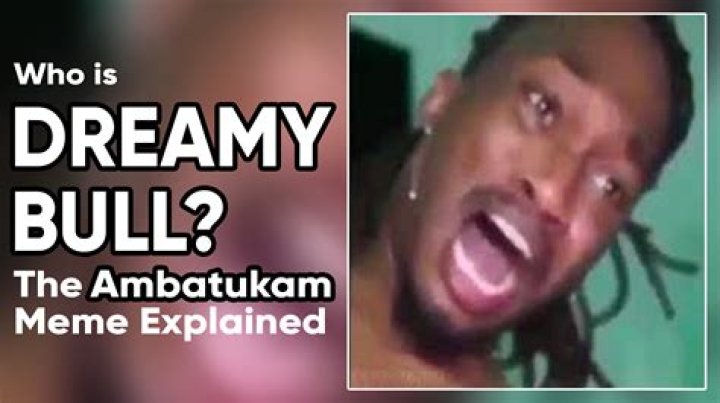Is Dreamybull Arrested? What Did He Do? Video Explained