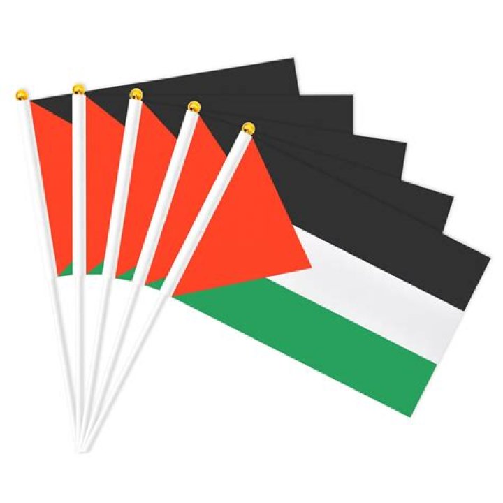 Jason Statham lookalike sticks Palestine flag on car in viral video