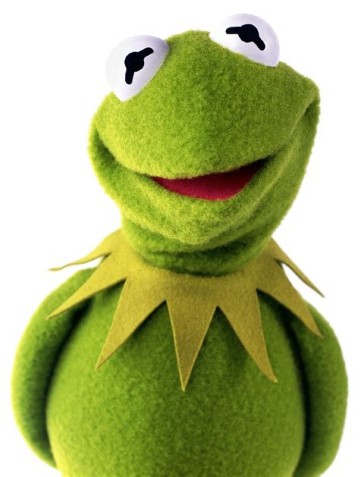 Kermit the Frog Disney Wiki