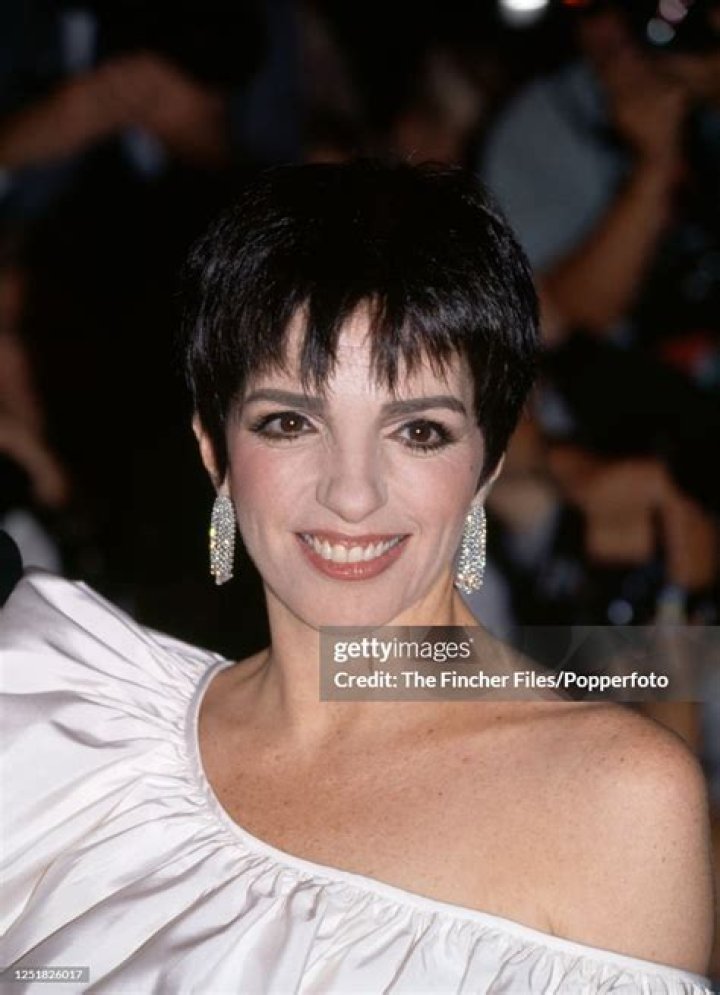 Liza Minnelli 'Hit Me Over The Head' If You Hear I'm Getting Married