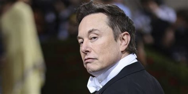 Lola Burr Is Bill Burr's Little Daughter Who Is Good at Skateboarding