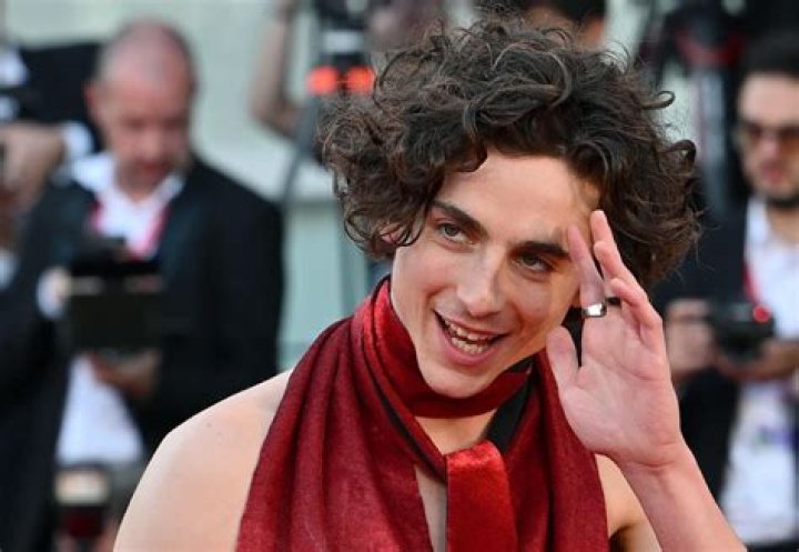 Marc Chalamet Where Is Timothee Chalamet's Father Now?