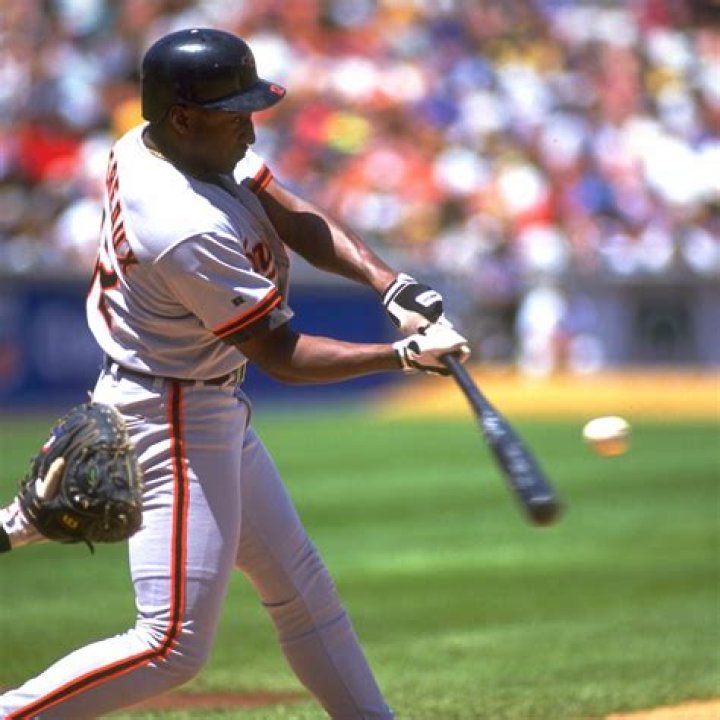 Mike Devereaux Roving Hitting/Outfield/Base Running IMG Academy