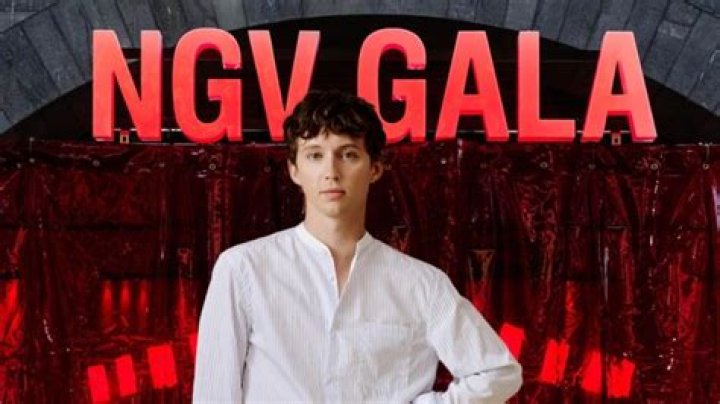 NGV Gala SaltNPeppa and other famous faces walk red carpet Herald Sun