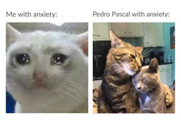 Pedro pascal crying at post nut clarity meme - Songs for my post nut clarity