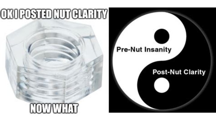 Post Nut Clarity In a Nutshell - Post nut clarity songs