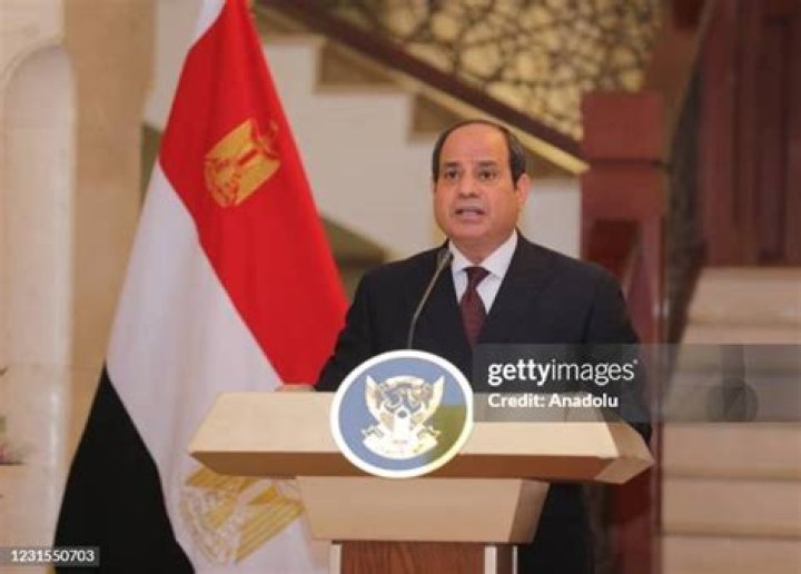President of Egypt, Abdel Fattah AlSisi, Steps in to Save Yasmin Abdel