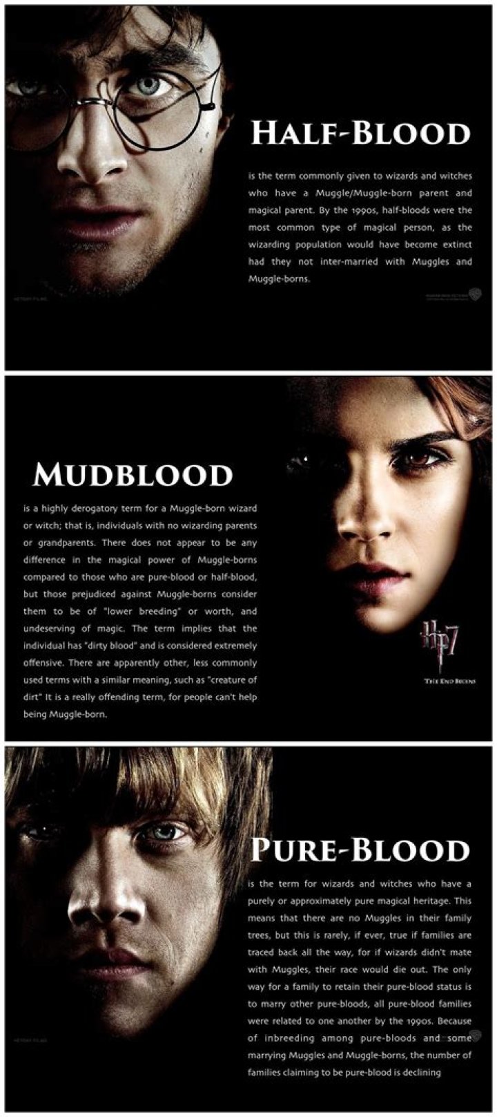 Pureblood Harry Potter Wiki FANDOM powered by Wikia