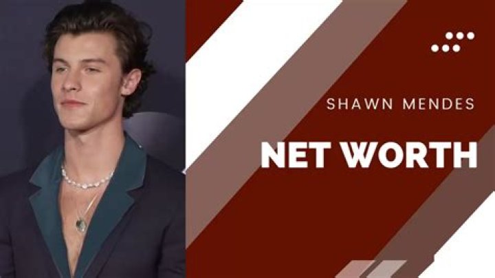 Shawn Abner Net Worth, Income, Salary, Earnings, Biography, How much money make?