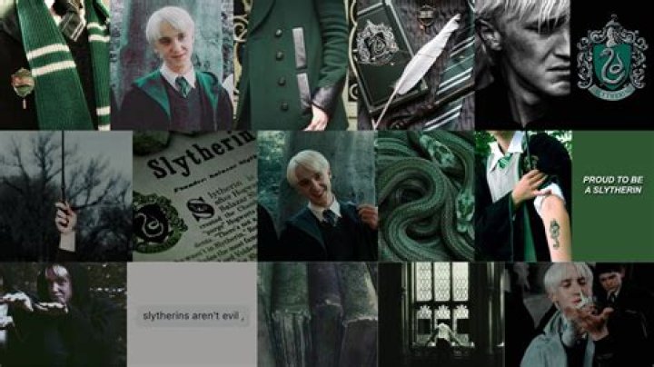 Slytherin Aesthetic, Draco Malfoy, Kill Me, Harry Potter, Pure Products