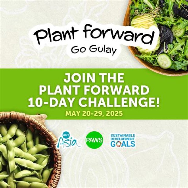 Tara Stevens &mdash; The PlantForward Kitchen