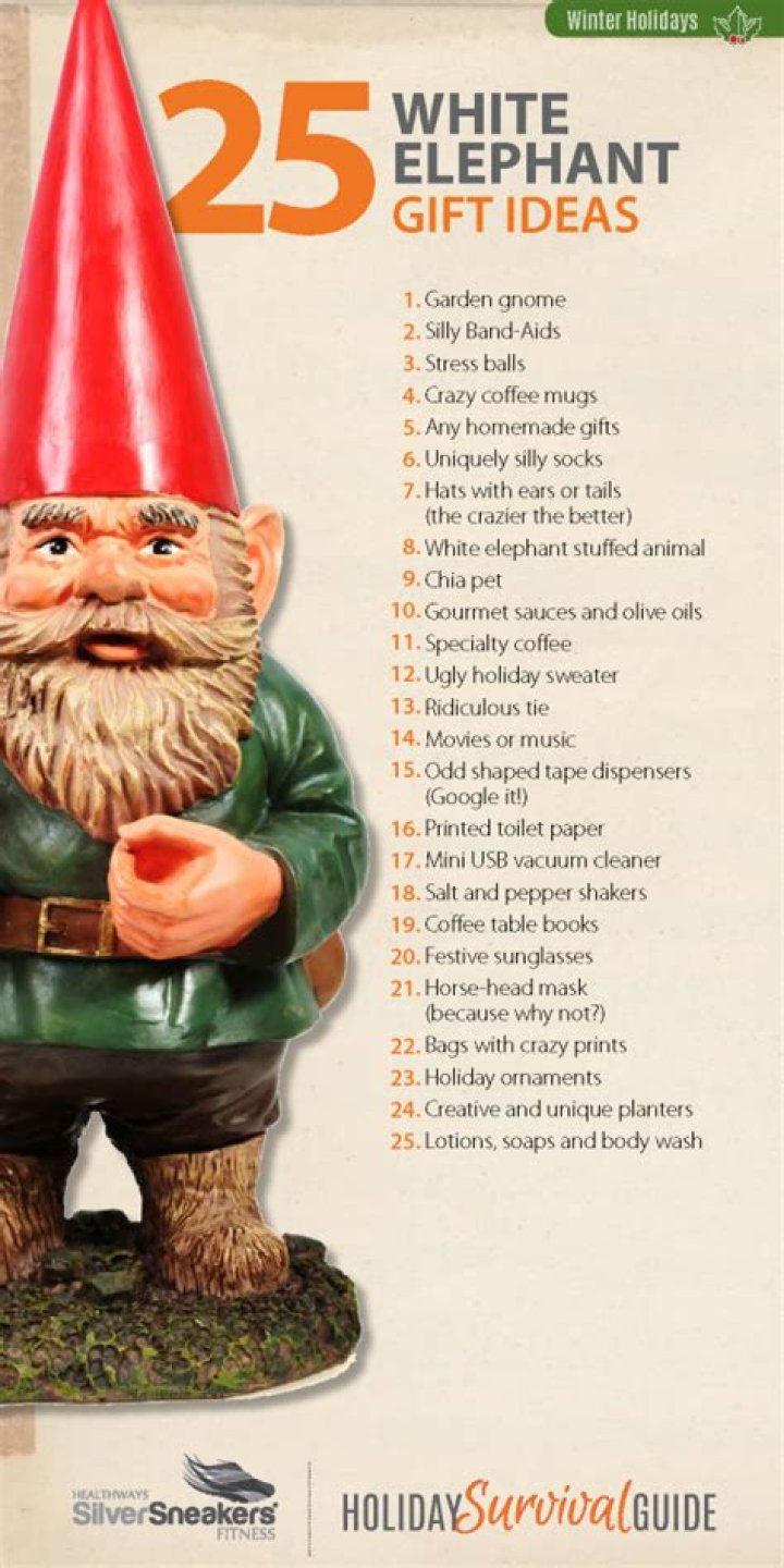 The 25 best white elephant gifts under 15 SilverSneakers
