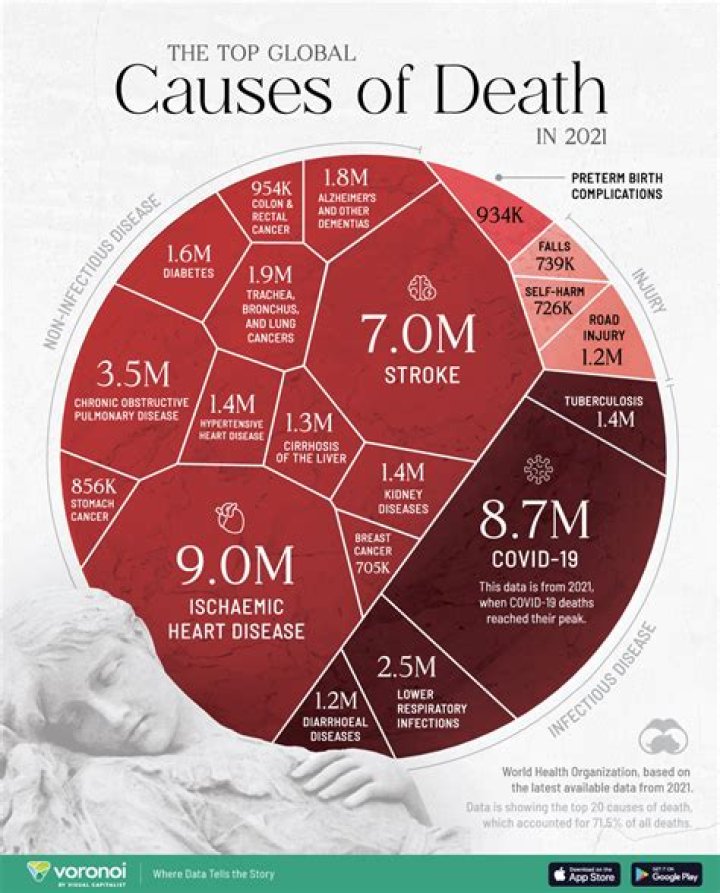 Uncovering The Cause Of Death And Its Impact