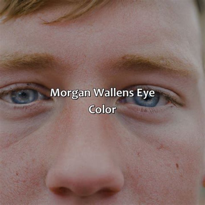 What Color Eyes Does Wallen Have