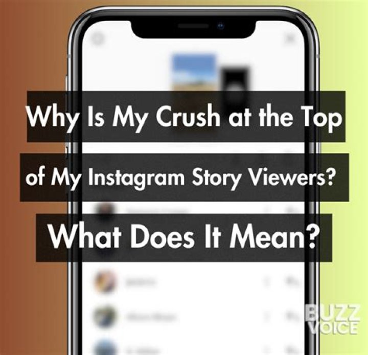 What is the Collive Instagram app? &raquo; Business to mark