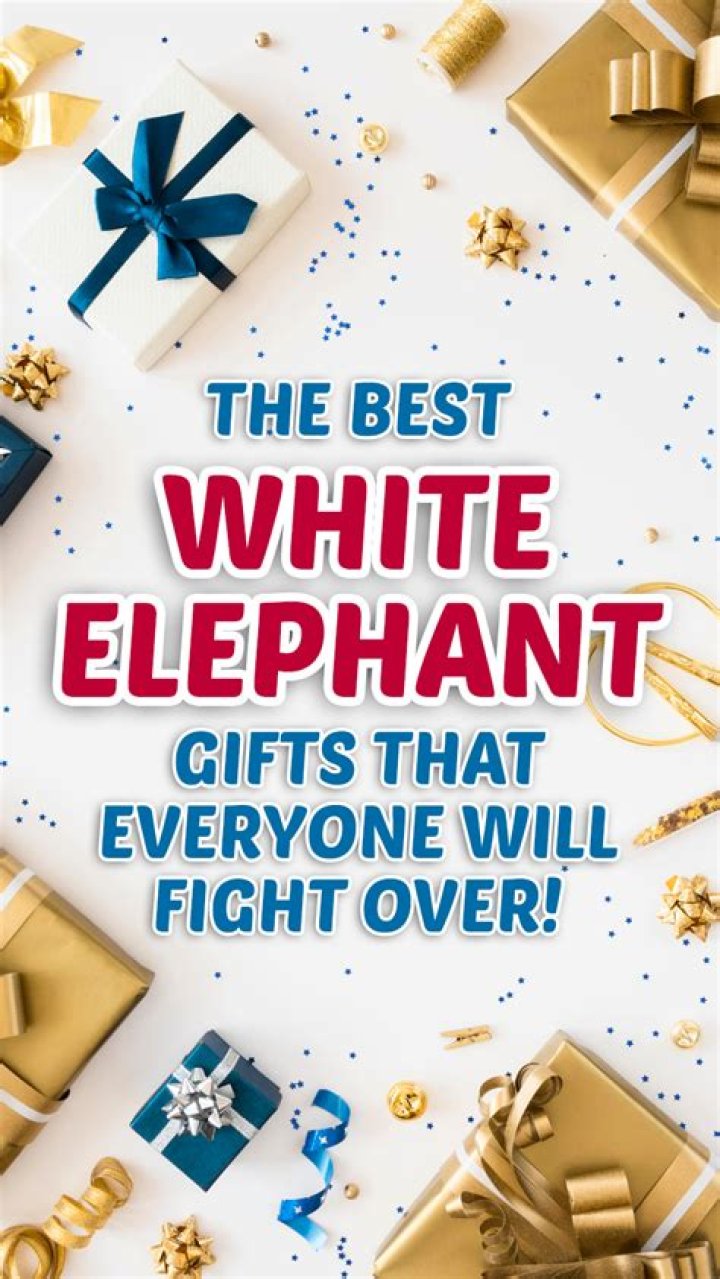 White Elephant Gifts Everyone Will Fight For Under 25 (Travel Inspired