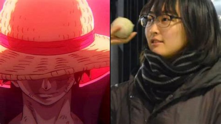 Who Is Megumi Ishitani? Everything You Need To Know About One Piece's