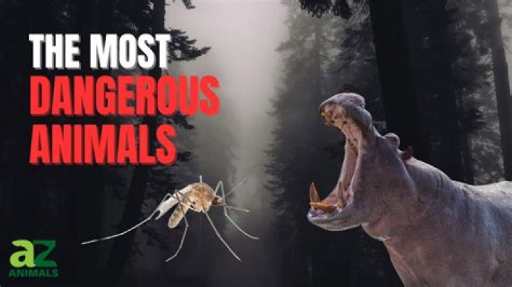 Who is the deadliest Pok&eacute;mon?