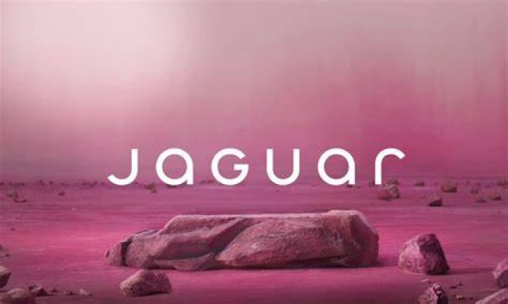 Why is Jaguar Wright apologizing to Tiffany Haddish over Common? Film